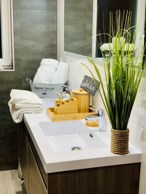 Gite Cosy Au Coeur De L'Alsace Roggenhouse エクステリア 写真